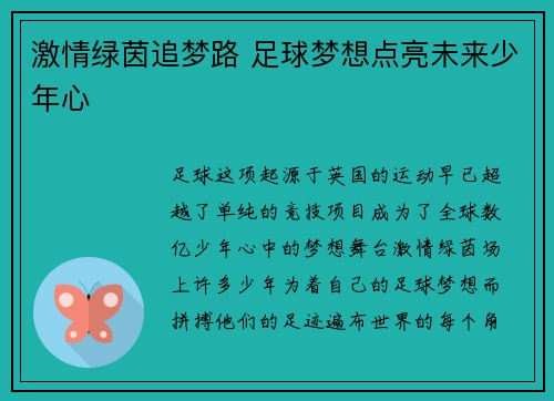 激情绿茵追梦路 足球梦想点亮未来少年心