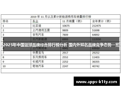 2025年中国篮球品牌综合排行榜分析 国内外知名品牌竞争态势一览