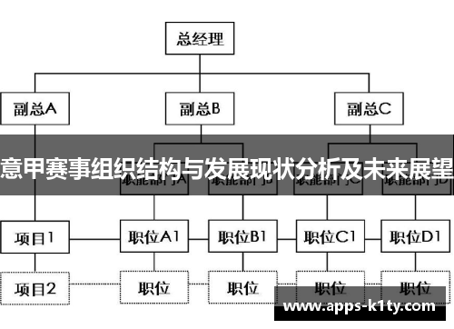 意甲赛事组织结构与发展现状分析及未来展望