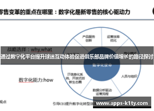 通过数字化平台提升球迷互动体验促进俱乐部品牌价值增长的路径探讨