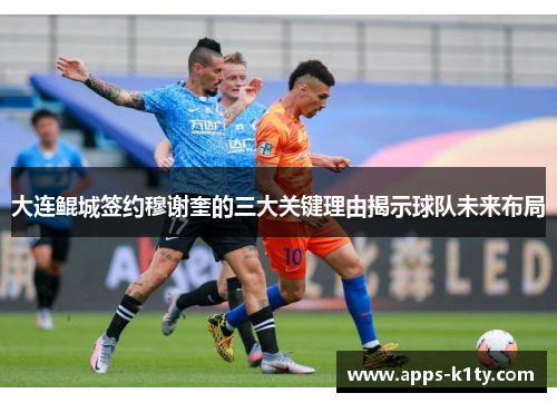 大连鲲城签约穆谢奎的三大关键理由揭示球队未来布局