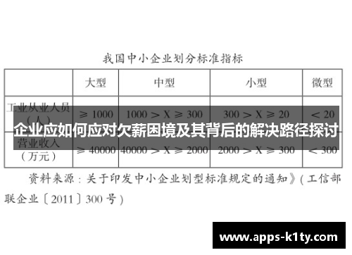 企业应如何应对欠薪困境及其背后的解决路径探讨