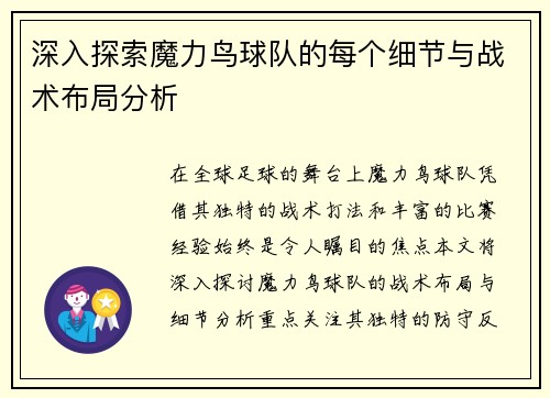 深入探索魔力鸟球队的每个细节与战术布局分析