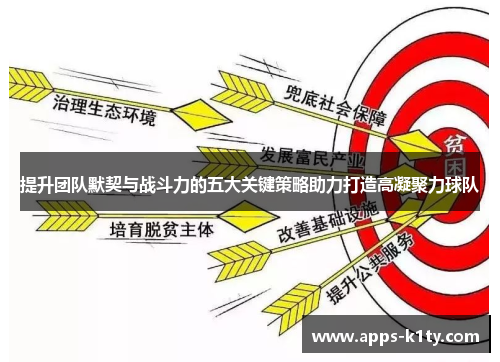 提升团队默契与战斗力的五大关键策略助力打造高凝聚力球队