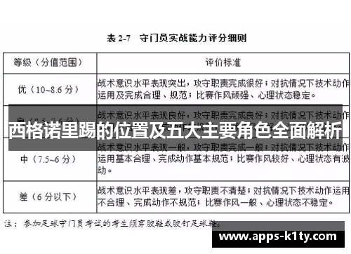 西格诺里踢的位置及五大主要角色全面解析